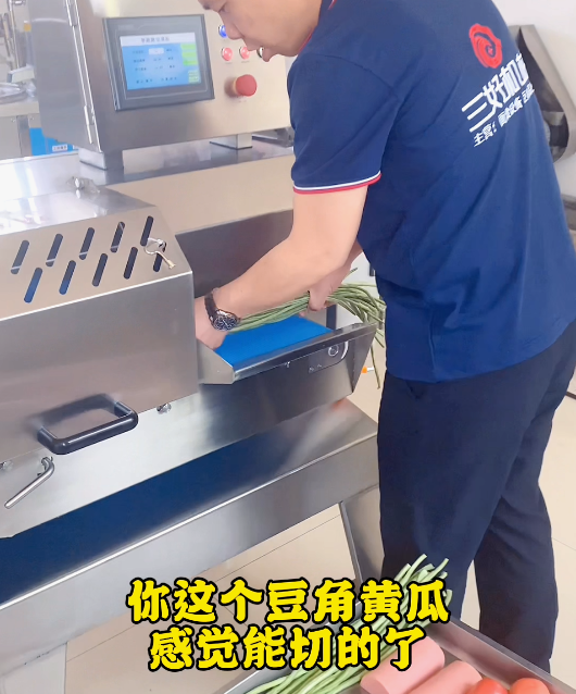 切菜機好用嗎 切菜機好用嗎