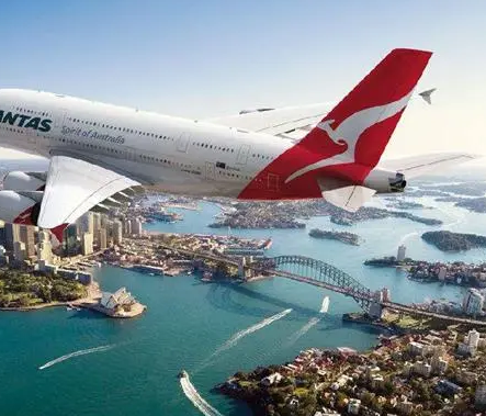 用什么樣的包子機可以做速凍包子？